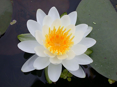 采購管理與供應(yīng)商評(píng)估